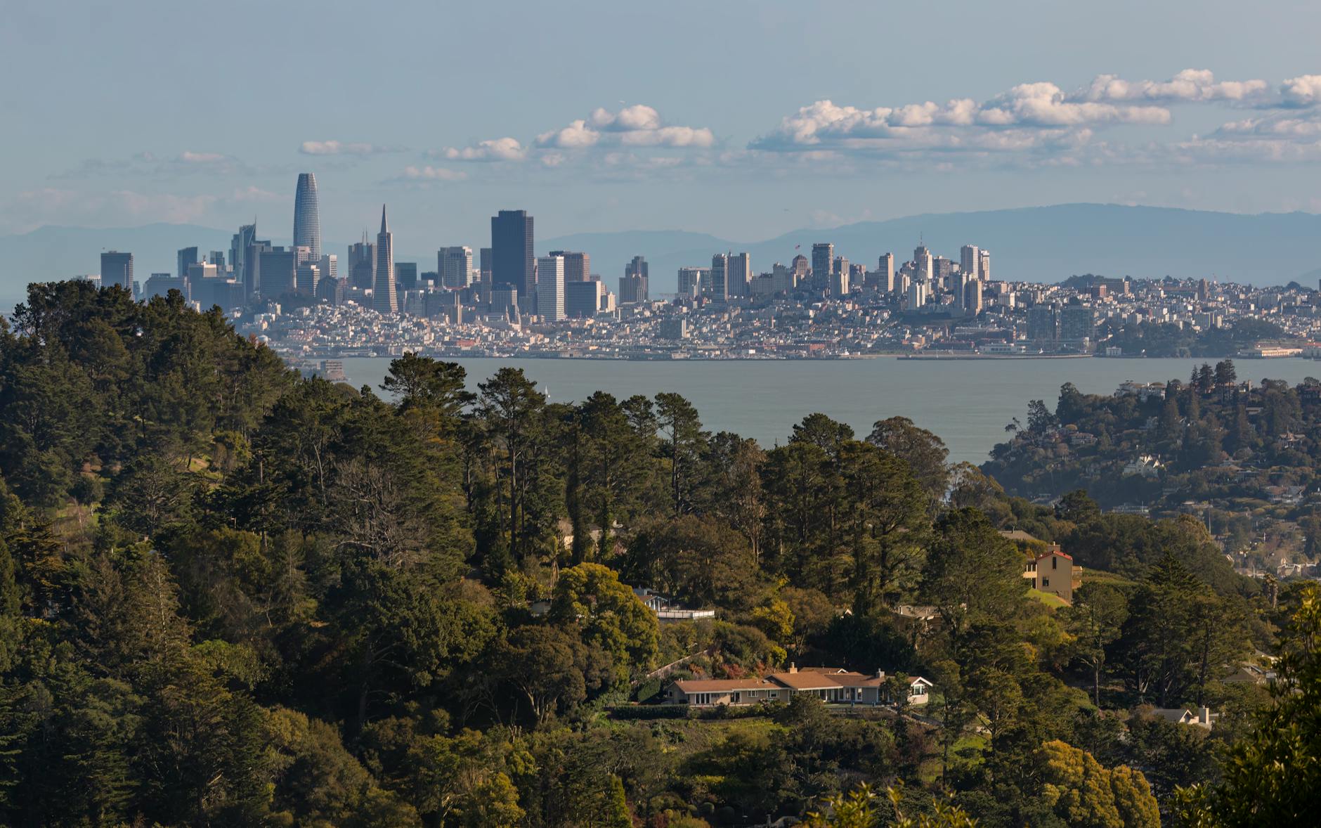 A scenic view of San Francisco skyline with a lush California forest in the foreground.